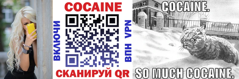 ОМГ ОМГ ТОР Кирсанов Кокаин Боливия