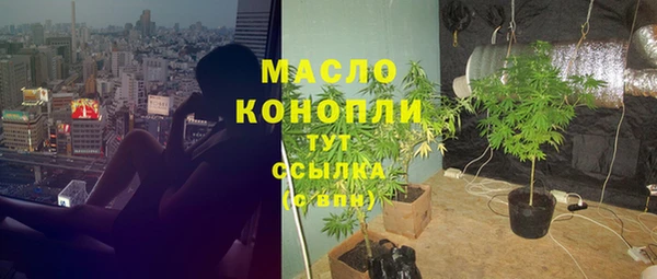 индика Пролетарск