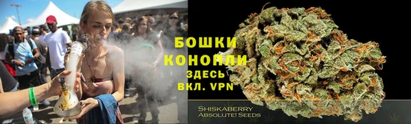 молекула духа Балабаново