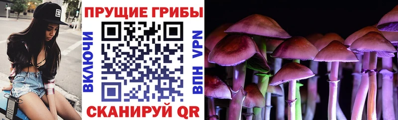 как найти наркотики  Кирсанов  Галлюциногенные грибы мухоморы 